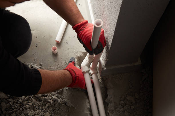 Best Local Plumber Services  in Newport, TN