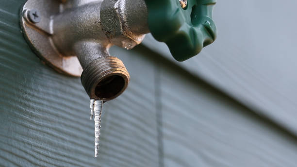 Best Affordable Plumbing Services  in Newport, TN